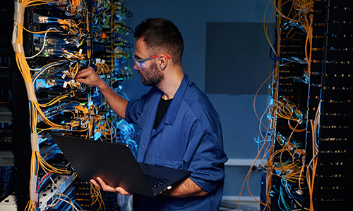 Intrusion Detection & Prevention Systems (IDS/IPS) 